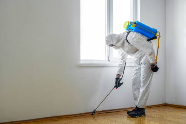 Best Fumigation Services  in Rosanky, TX